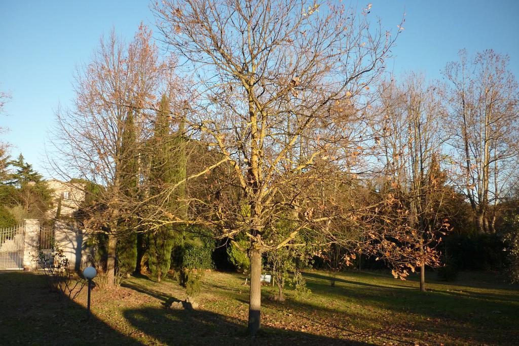 B&B Alle Terme Viterbo Exteriör bild