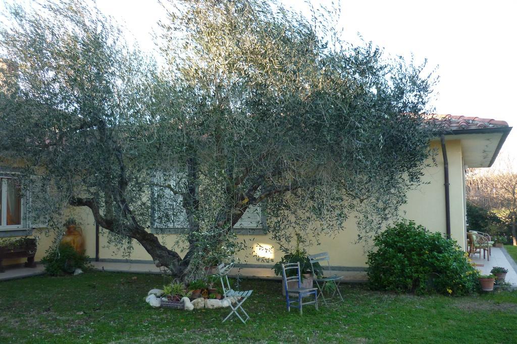 B&B Alle Terme Viterbo Exteriör bild