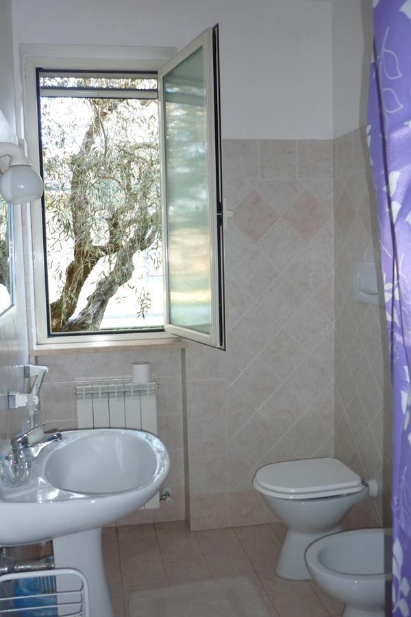 B&B Alle Terme Viterbo Rum bild